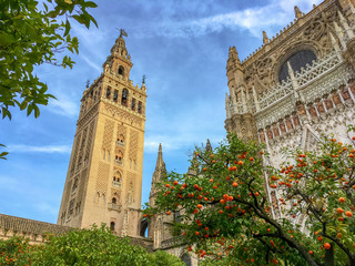 Fototapeta premium Katedra w Sewilli i Giralda, Andaluzja, Hiszpania