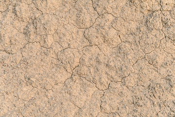 Place the clay had dried to a cracked state