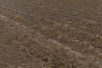 Just dug up a field ready for planting vegetables