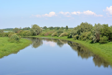 Obraz na płótnie Canvas Calm river with green grass and willows on the banks and cloudy sky. Summer European landscape.River Veriaja Novgorod region