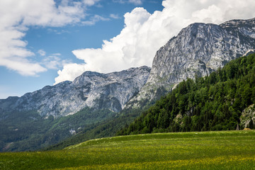 Austrian Mountains - 272673718