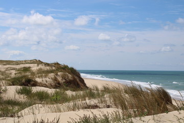 La C&ocirc;te sauvage