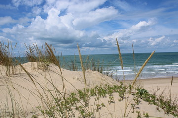 La C&ocirc;te Sauvage