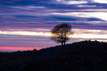 The plateau of Cansiglio / Mount Pizzoc