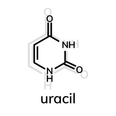 Uracil chemical formula on white background
