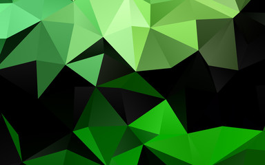 Light Green vector low poly layout.