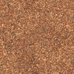 On the ground underfoot is a lot of dry foliage .Texture or background.