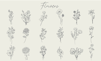 Set of handdrawn floral elements for design - obrazy, fototapety, plakaty