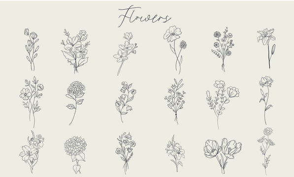 Set of handdrawn floral elements for design