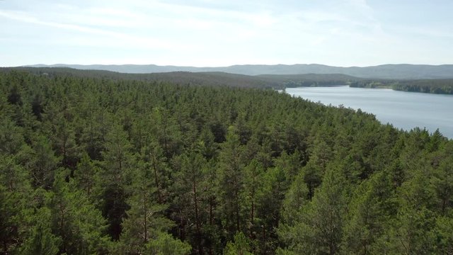 Aerial view; drone flying forward over the trees crones to horizon line; beautiful mixed forest with pine trees, bright juicy spring foliage of birches; lakes in the protected national Iremel reserve