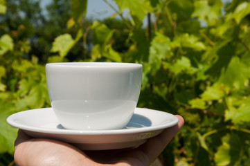 White coffee cup in hand in nature.Coffee time