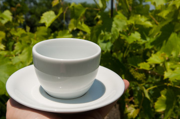 White coffee cup in hand in nature.Coffee time