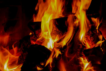 Close-up of burning firewood in fire.