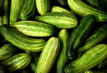 Background of vibrant green cucumbers