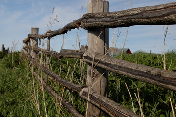 Old rustic wooden fence in the Siberian village, stretching into the distance.