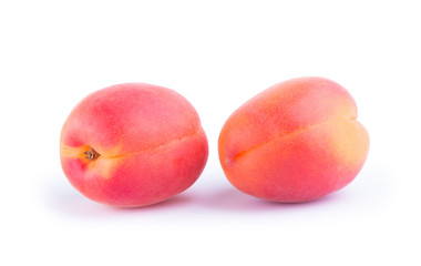 apricot isolated on white background