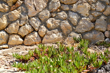 old stone wall with moss