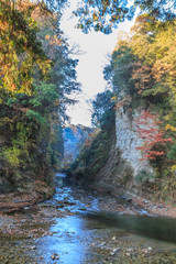 秋の養老渓谷の弘文洞跡の風景