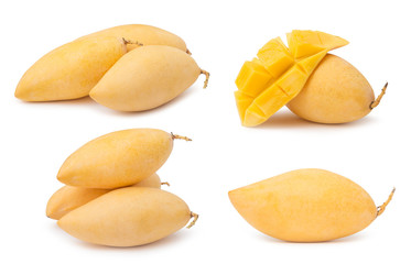 mango fruit isolated on white background