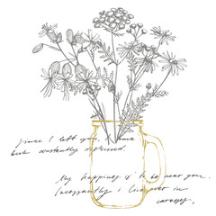 Tansy and Chamomile. Bouquet of hand drawn flowers and herbs. Botanical plant illustration. Handwritten abstract text wallpaper. Imitation of a abstract vintage lettering.
