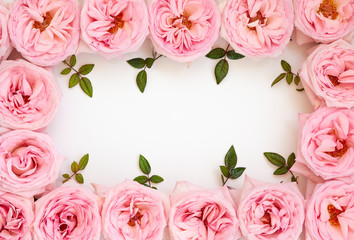 Beautiful pink roses flowers  .