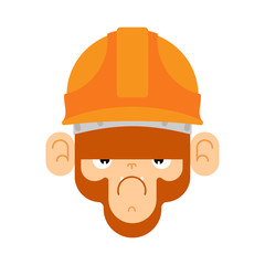 Monkey in construction helmet. marmoset builder. Vector illustration
