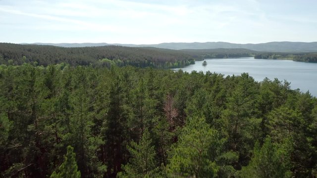 Aerial view; drone flying forward over the trees crones to horizon line; beautiful mixed forest with pine trees, bright juicy spring foliage of birches; lakes in the protected national Iremel reserve