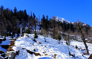 Obraz na płótnie Canvas winter landscape with trees and snow