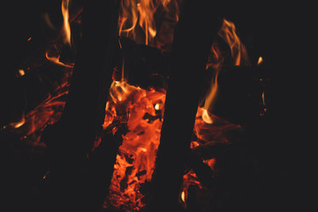 Picnic in the mountains. Travels and fires. Atmosphere of comfort. Tourism in the Carpathian...