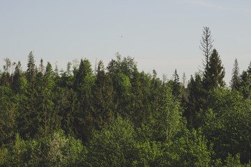 .Carpathian Mountains from the window of the car. Offroad travel in Ukraine
