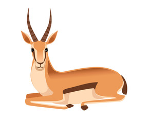 African wild black-tailed gazelle with long horns cartoon animal design flat vector illustration on white background side view antelope lies © Alfmaler