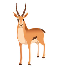 Fototapeta premium African wild black-tailed gazelle with long horns cartoon animal design flat vector illustration on white background front view antelope