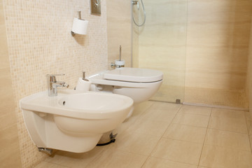 Fototapeta na wymiar Spacious bathroom with toilet, bidet and shower in brown tones.