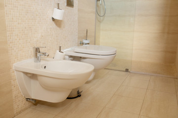 Fototapeta na wymiar Spacious bathroom with toilet, bidet and shower in brown tones.