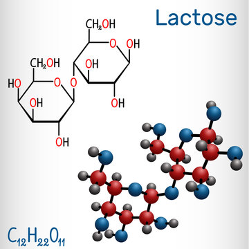 Lactose, milk sugar molecule, it is a disaccharide. Structural chemical formula and molecule model