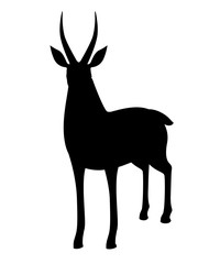 Black silhouette African wild black-tailed gazelle with long horns cartoon animal design flat vector illustration on white background front view antelope