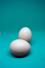 Two white chicken eggs on turquoise blue background. Copy space, close-up.