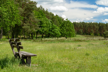 Eine Parkbank in der Lüneburger Heide mit schöner Aussicht