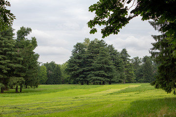  36/5000 A sport day at the Monza park