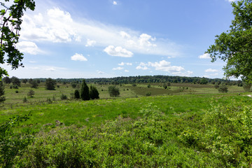 Fototapeta na wymiar Panorame einer grünen Landschaft an einem sonnigen Sommertag