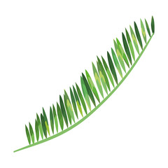 exotic leaf palm tropical icon