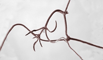 Sometimes the little things are the most beautiful.