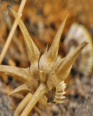 Sometimes the little things are the most beautiful.