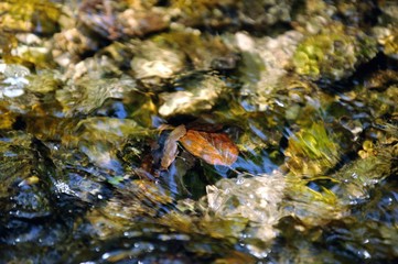 Sonnenreflexion im Bach