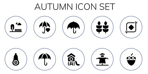 autumn icon set