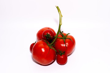 tomatoes isolated on white background