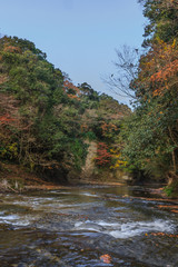 秋の養老渓谷の中瀬遊歩道の風景