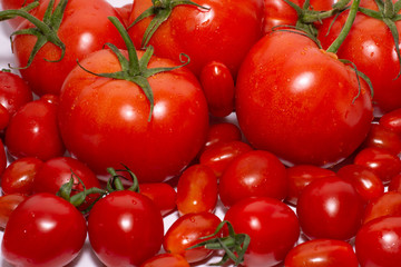 tomatoes on the vine