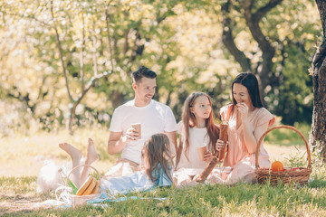 Happy family on a picnic in the park on a sunny day