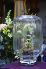 glass of water